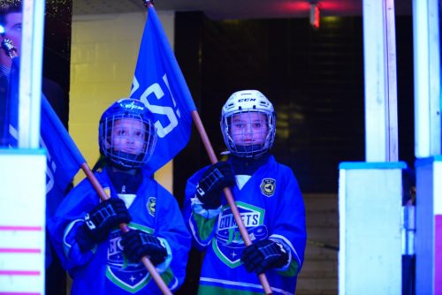 A Night at the Comets Game